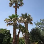 Bed & Breakfast Casa Alice