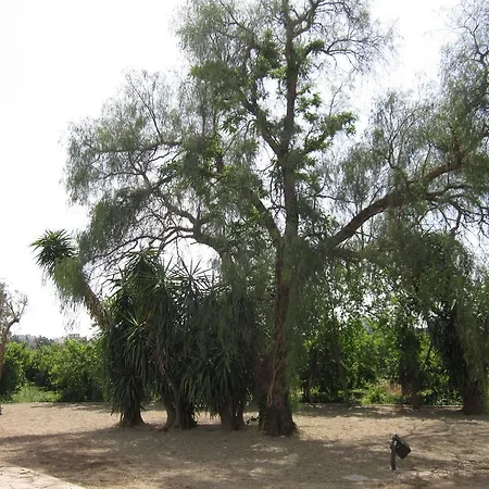 Bed and breakfast Casa Alice 3*