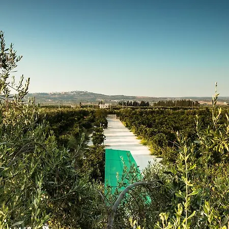 Bed and breakfast Casa Alice Palagiano