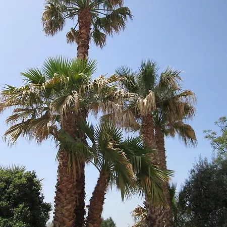 Panzió Casa Alice 3*