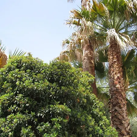 Bed & Breakfast Casa Alice