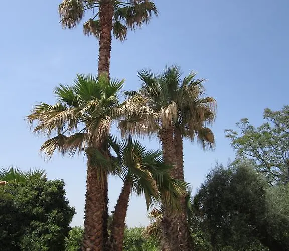 Frühstückspension Casa Alice