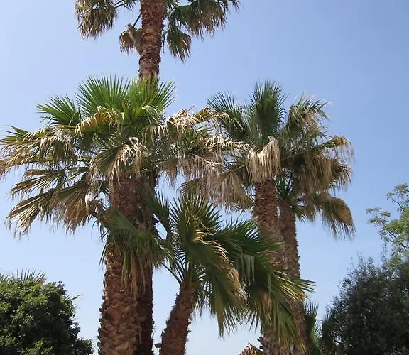 Frühstückspension Casa Alice 3*