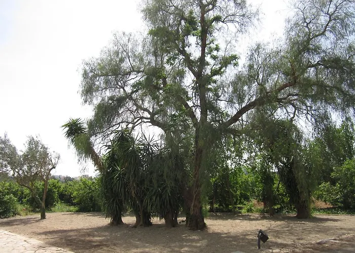 לינה וארוחת בוקר Casa Alice 3*